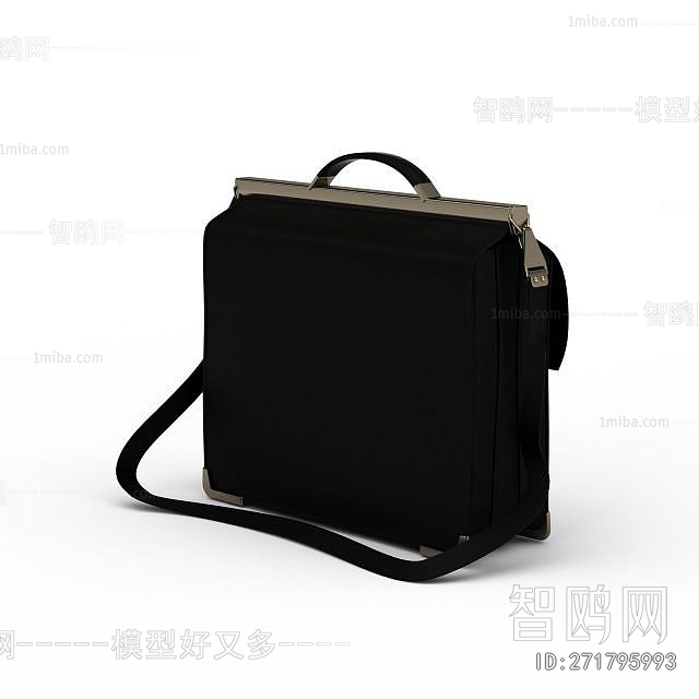 Modern Lady's Bag