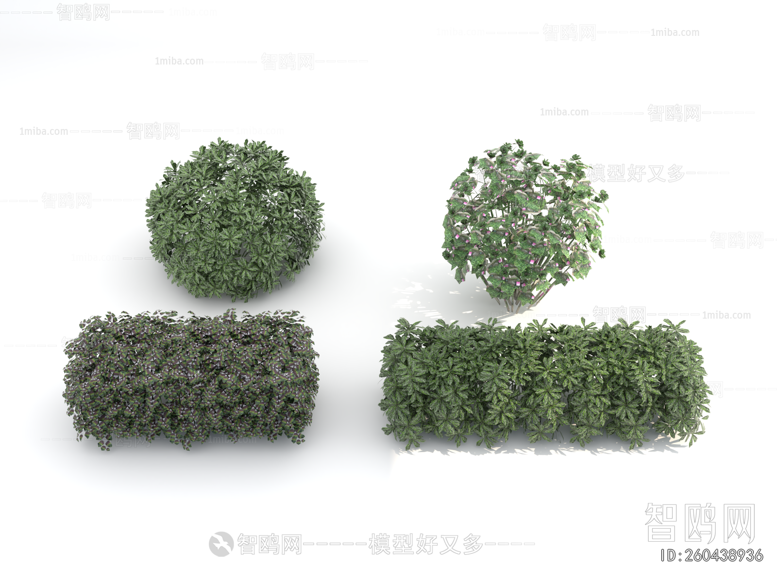 Modern Shrubbery