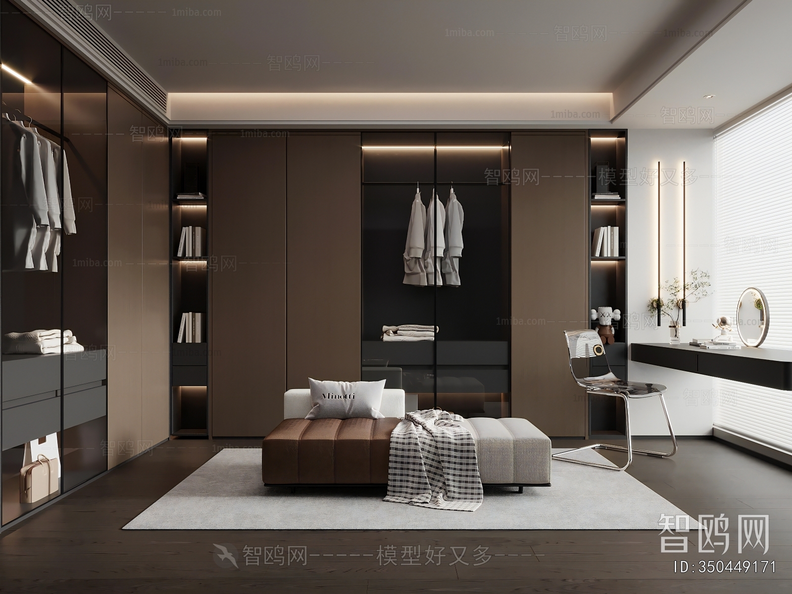 Modern Clothes Storage Area
