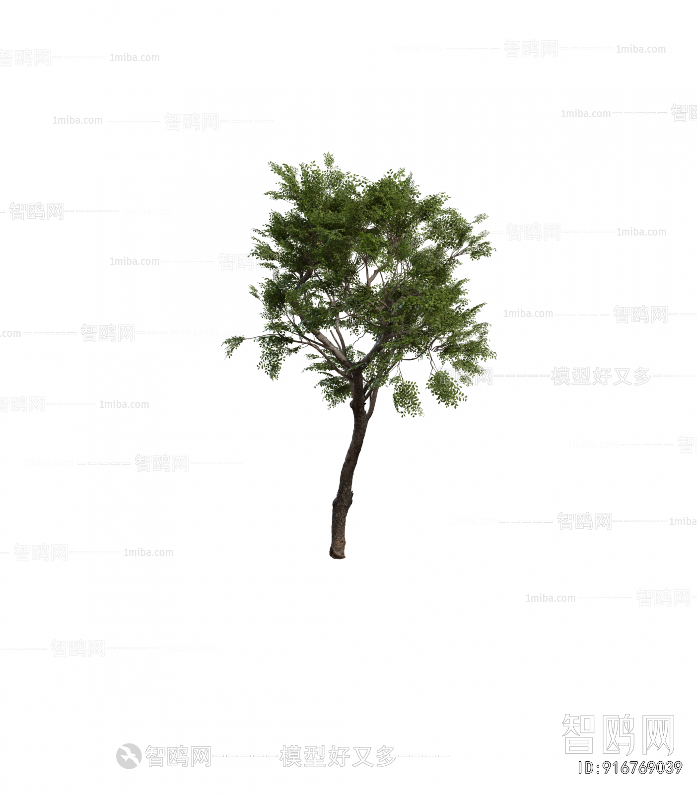 Modern Tree