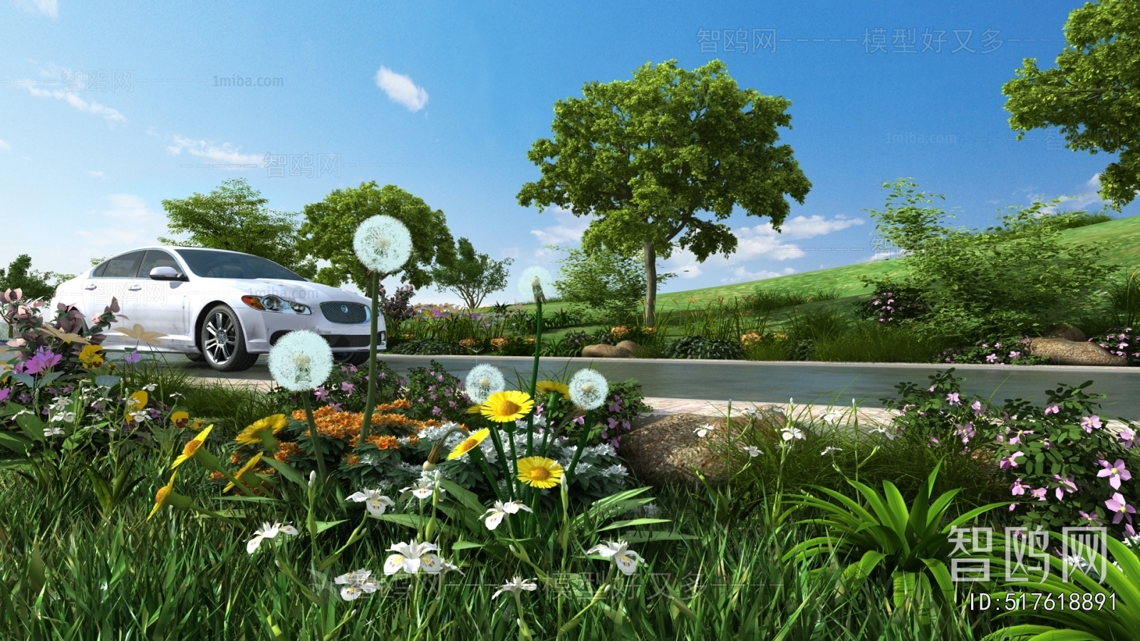 Modern Flowers And Grass