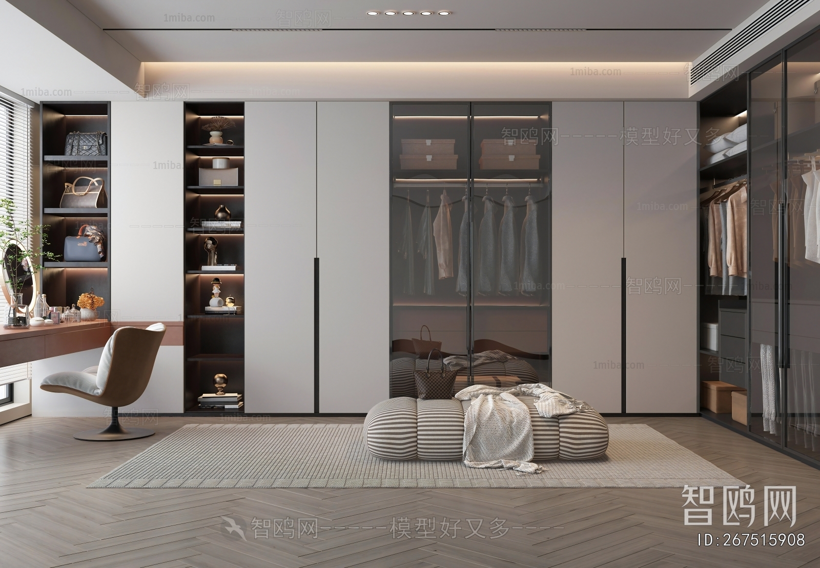 Modern Clothes Storage Area