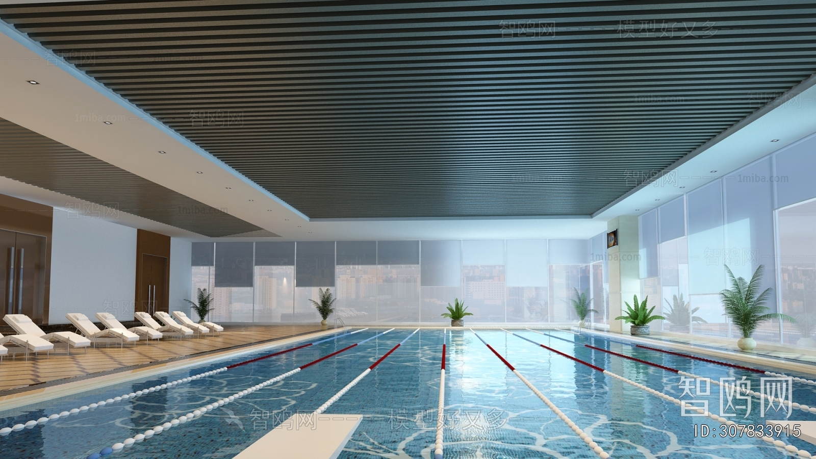 Modern Swimming Pool