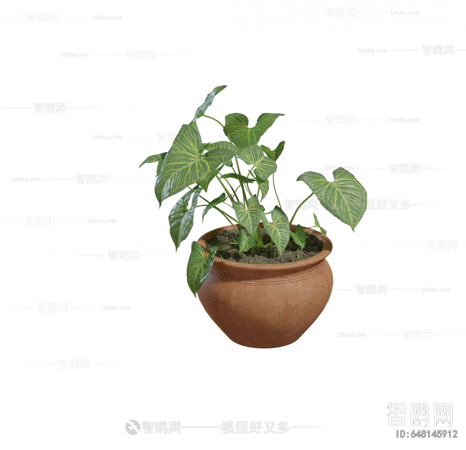Modern Potted Green Plant