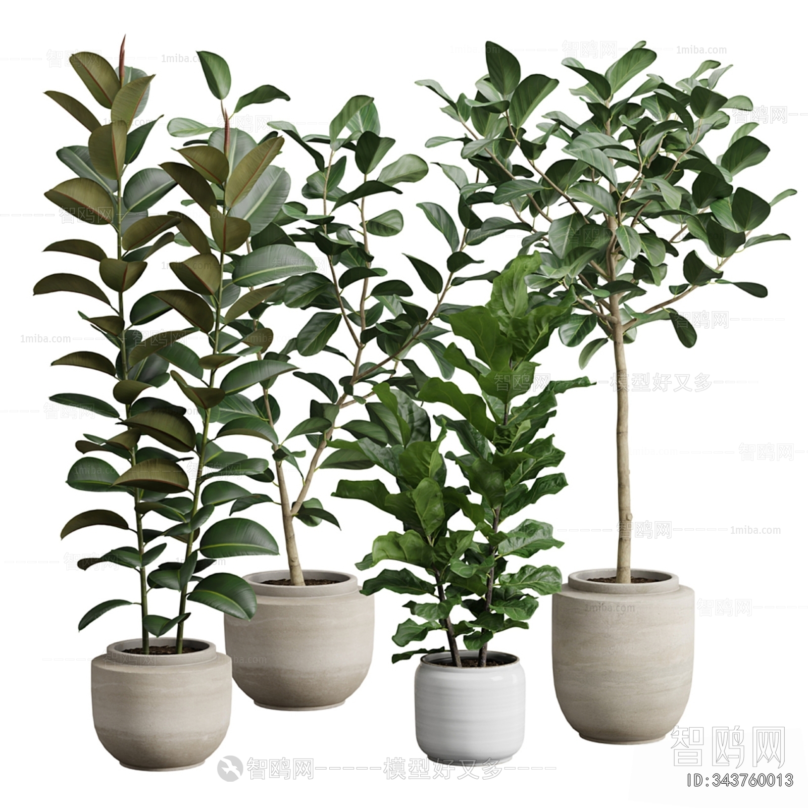 Modern Ground Green Plant Potted Plants