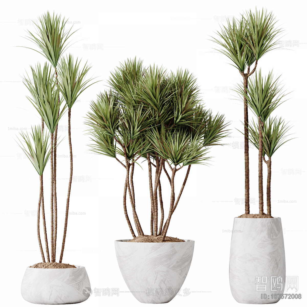 Modern Ground Green Plant Potted Plants
