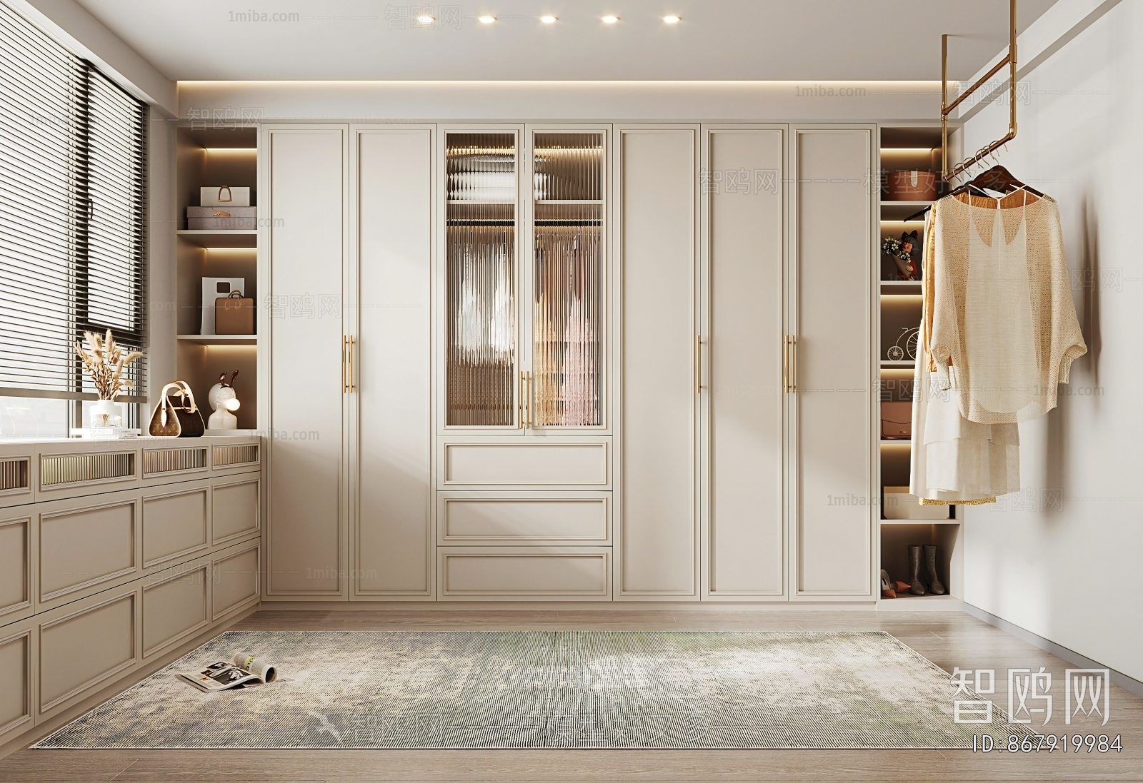 Modern Clothes Storage Area