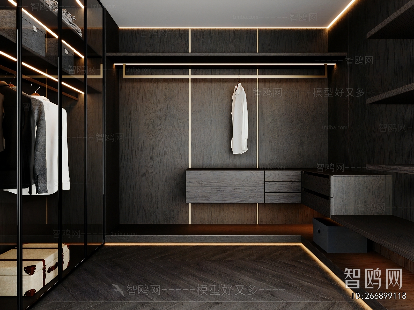 Modern Clothes Storage Area