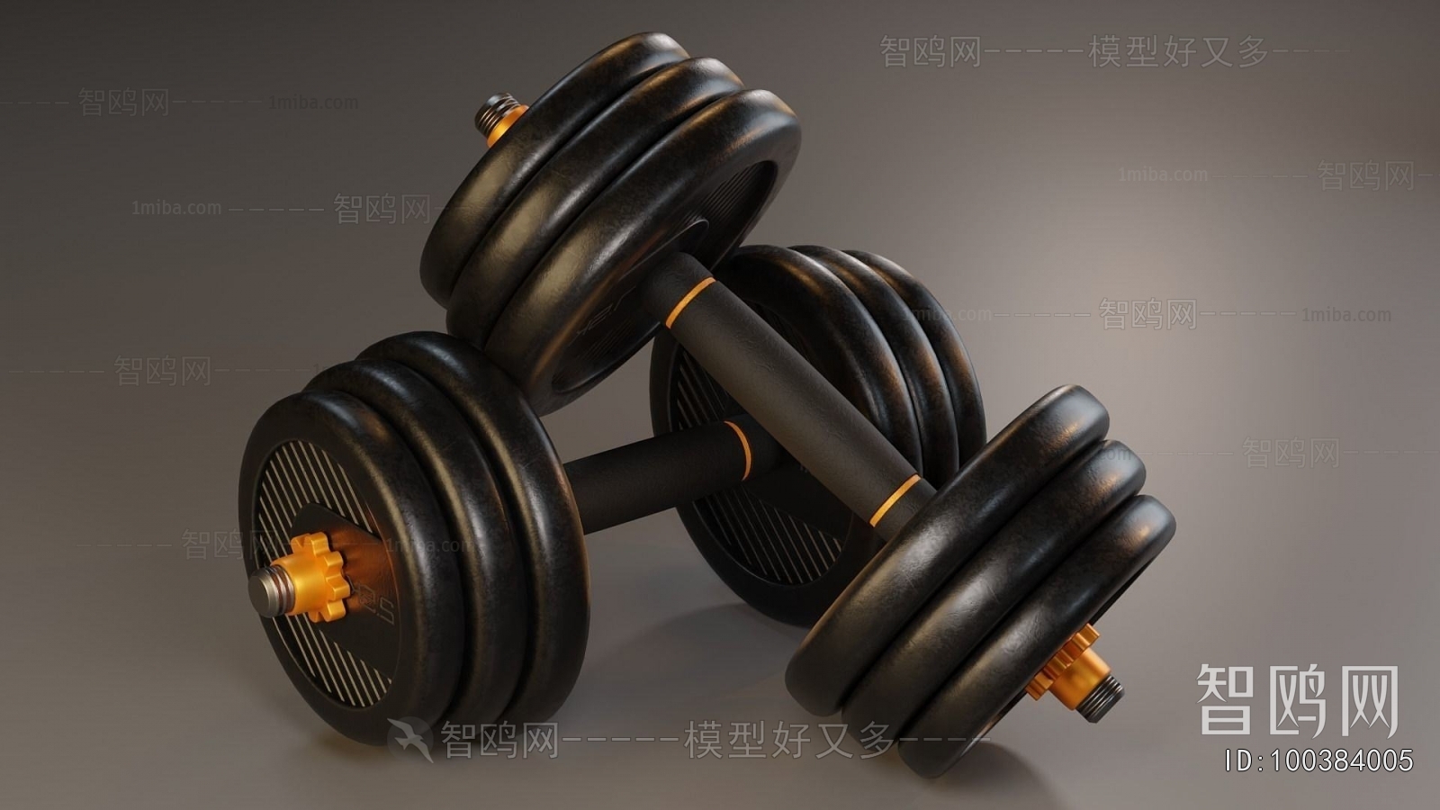 Modern Fitness Equipment