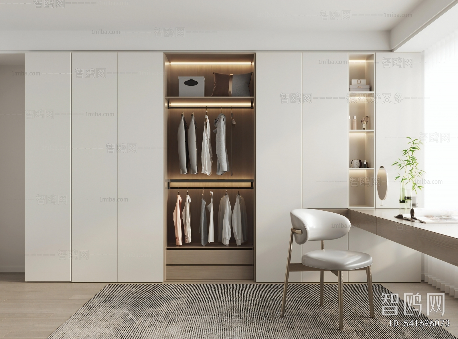Modern Clothes Storage Area