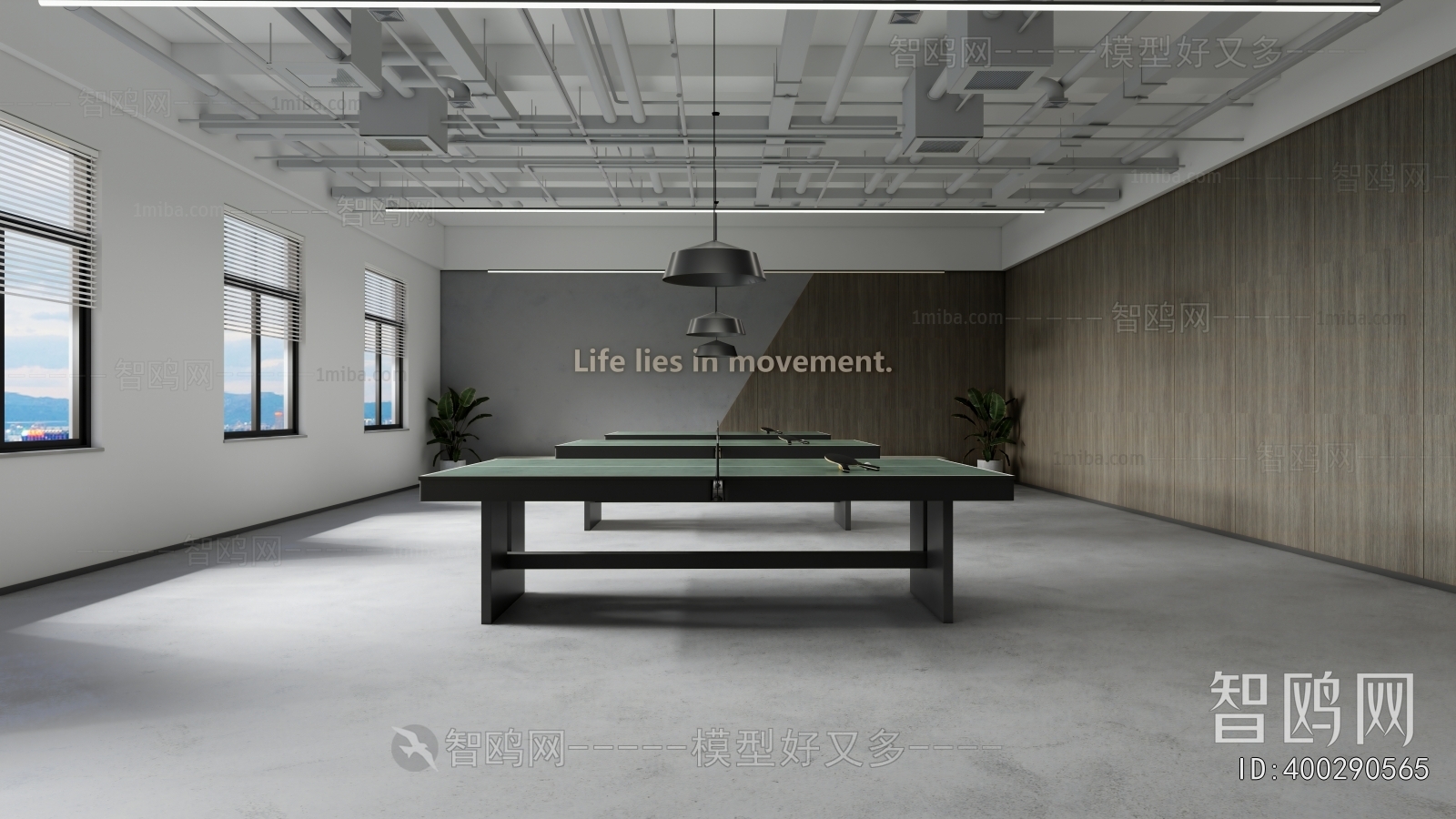 Modern Billiards Room