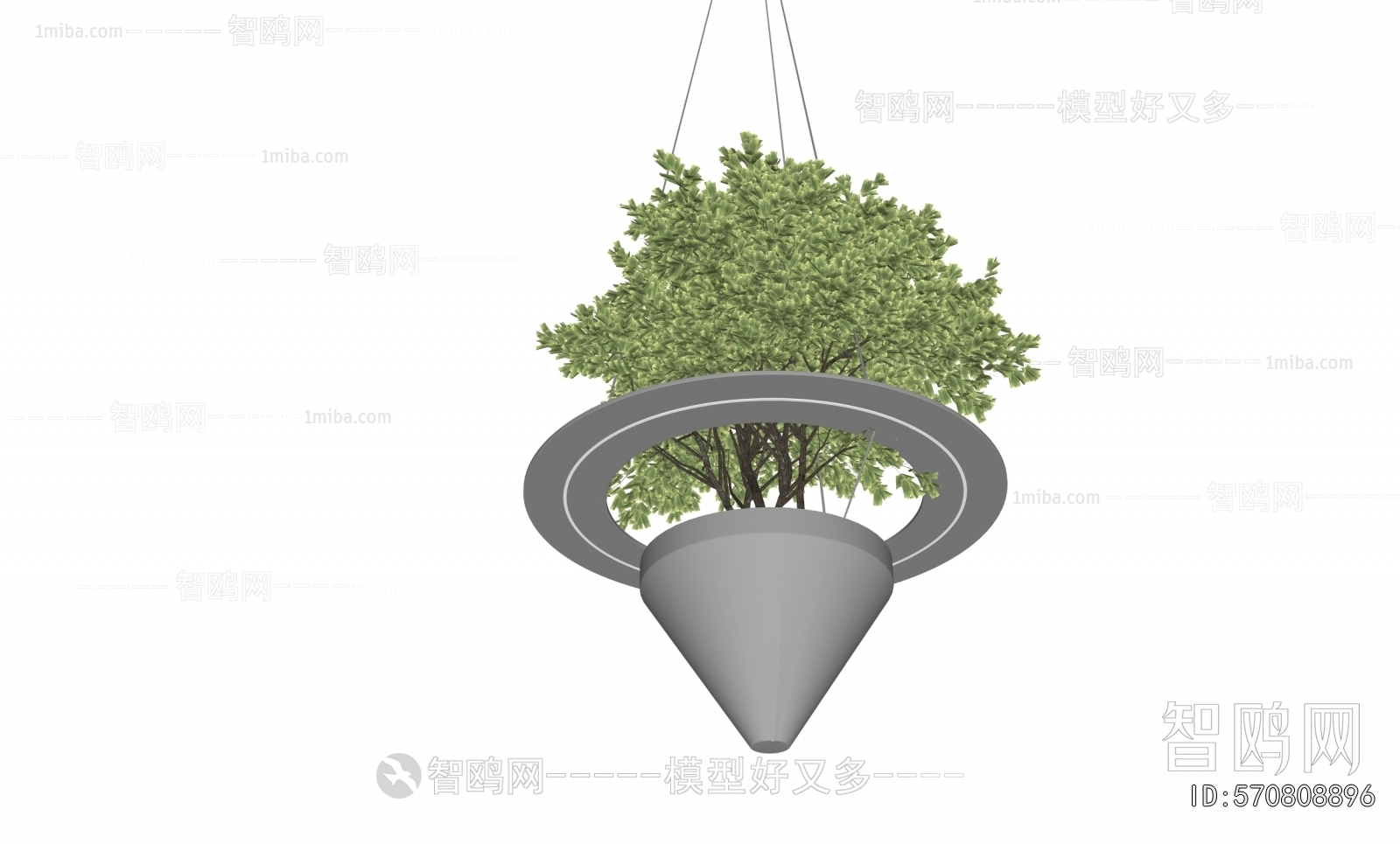 Modern Chlorophytum Comosum