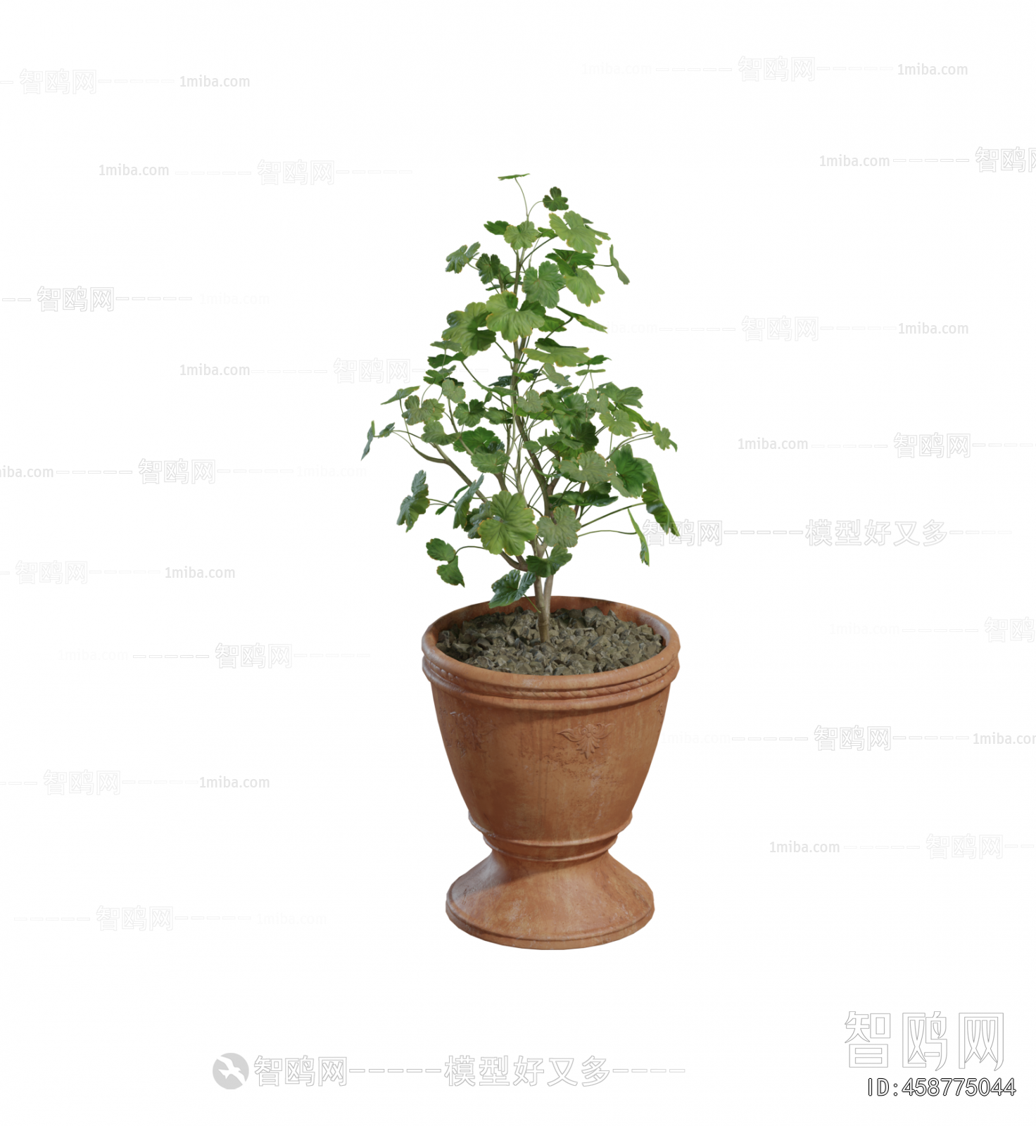Modern Potted Green Plant