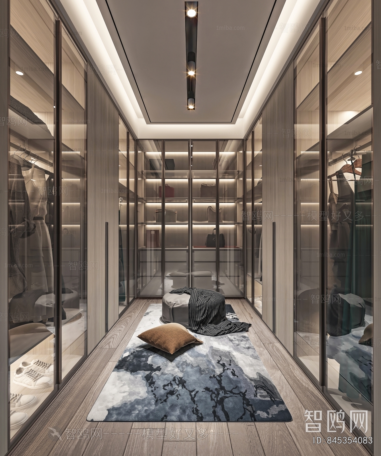 Modern Clothes Storage Area