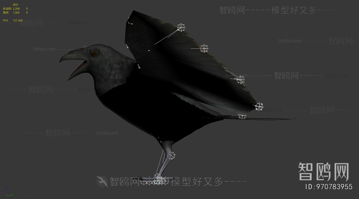 Modern Flying Animals