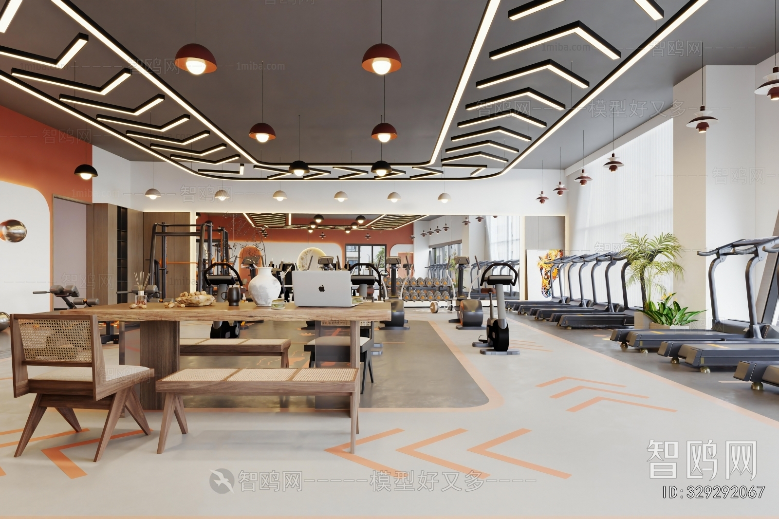 Modern Gym