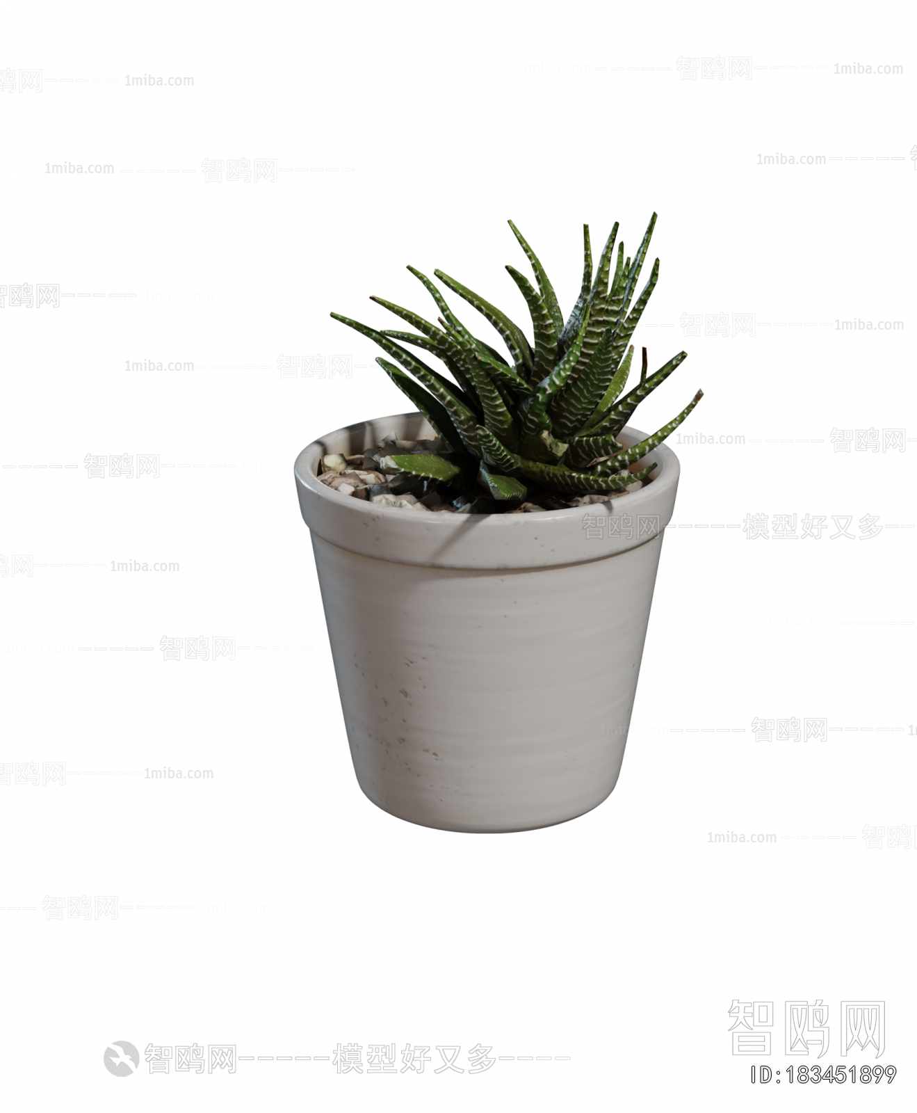 Modern Potted Green Plant