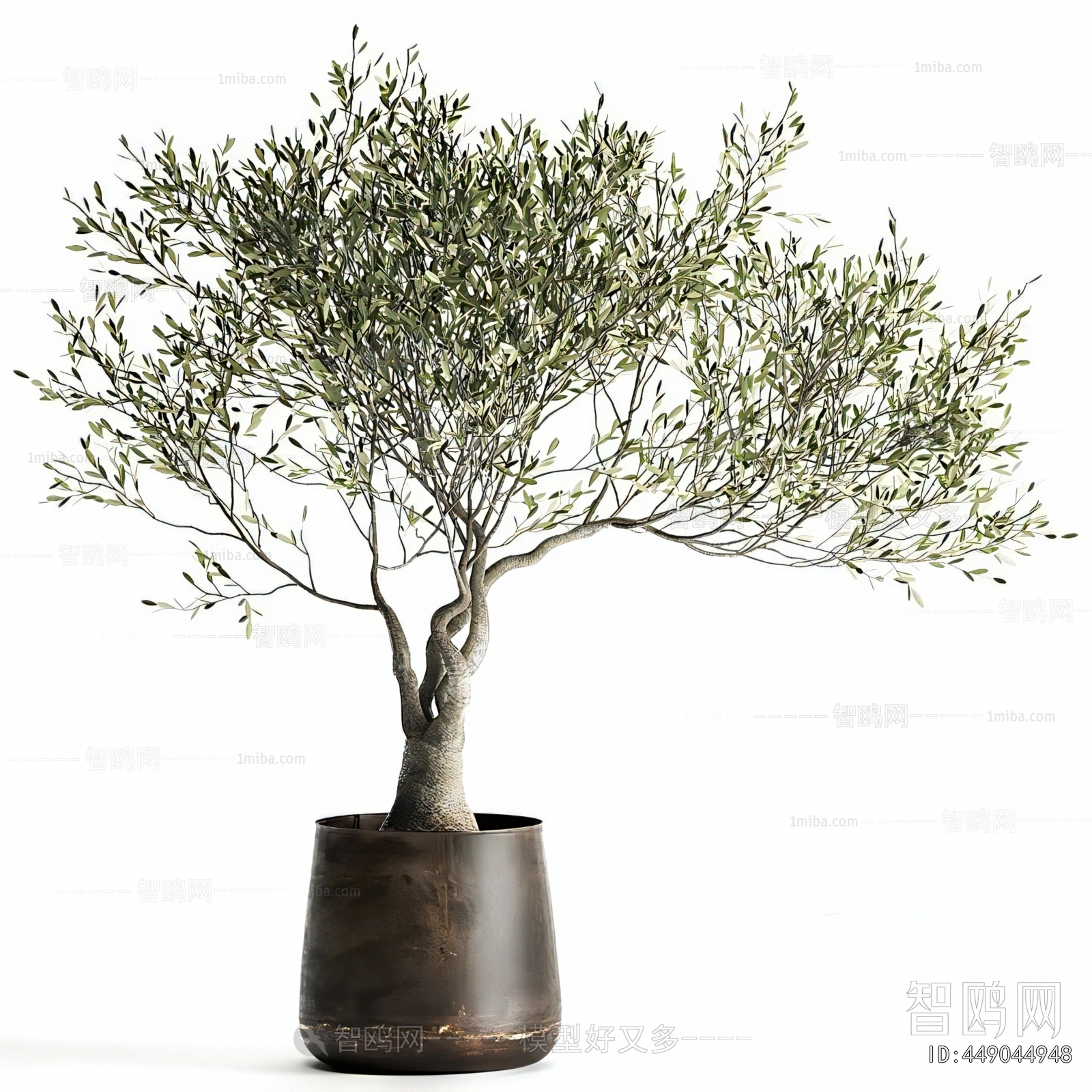 Modern Ground Green Plant Potted Plants