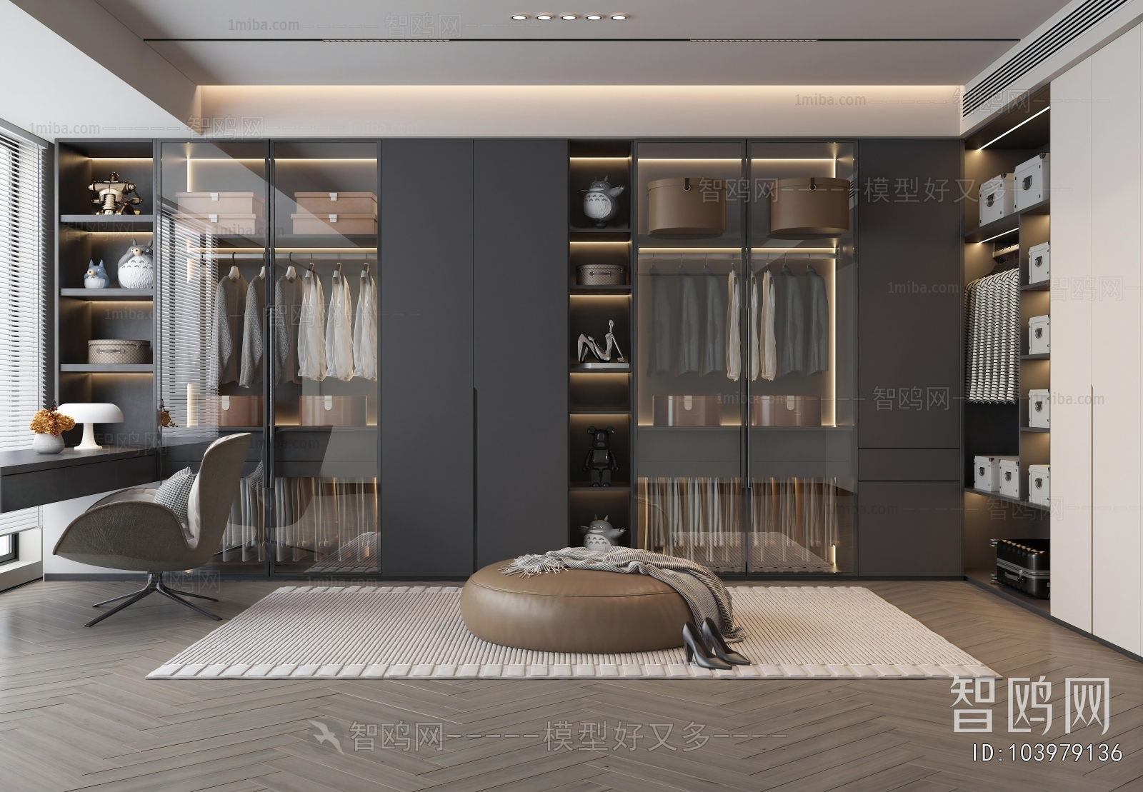 Modern Clothes Storage Area