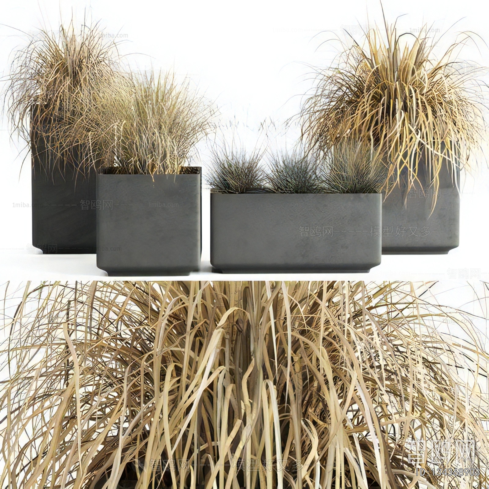 Modern Flower Bed, Flower Bowl, Flower Box