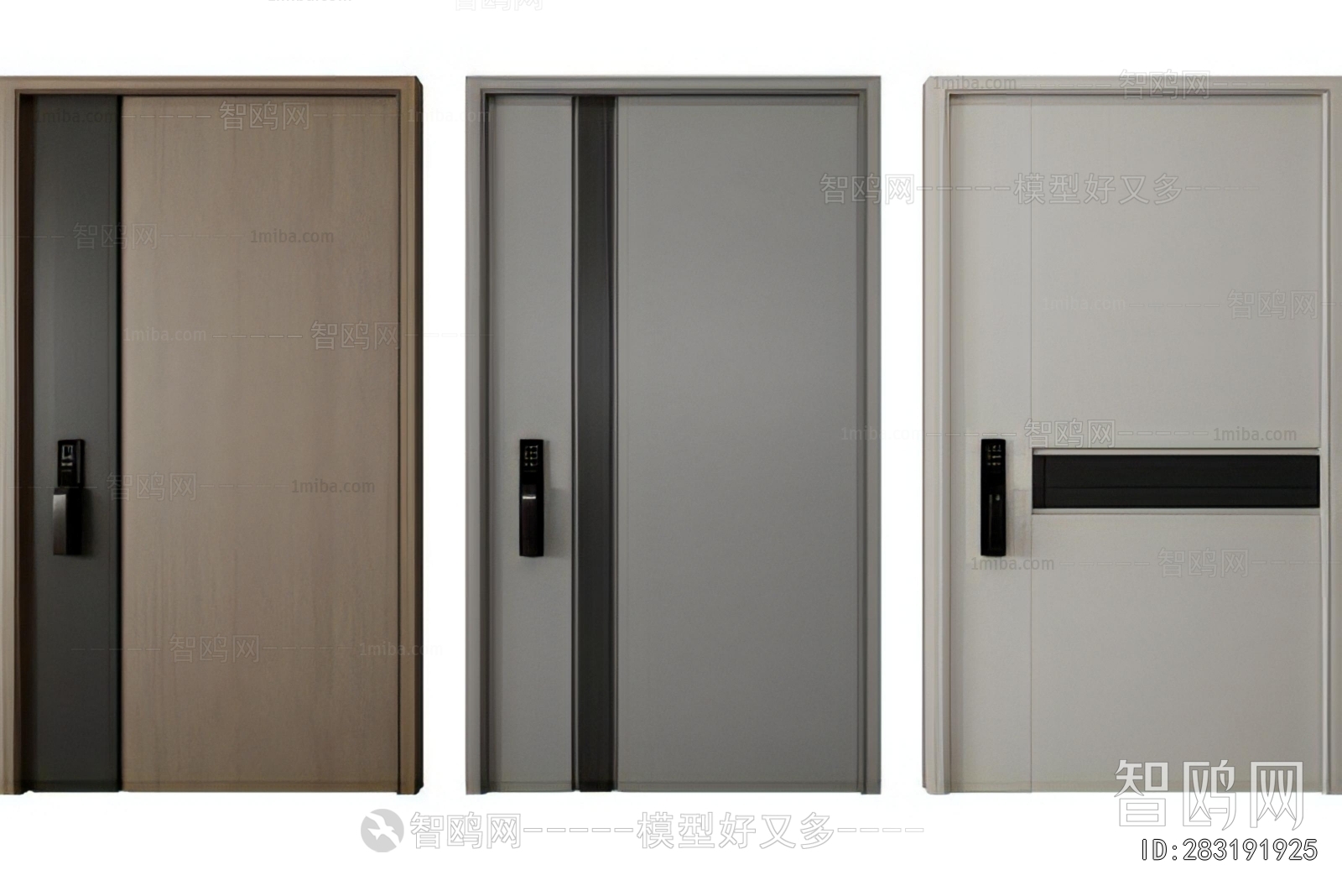 Modern Entrance Door