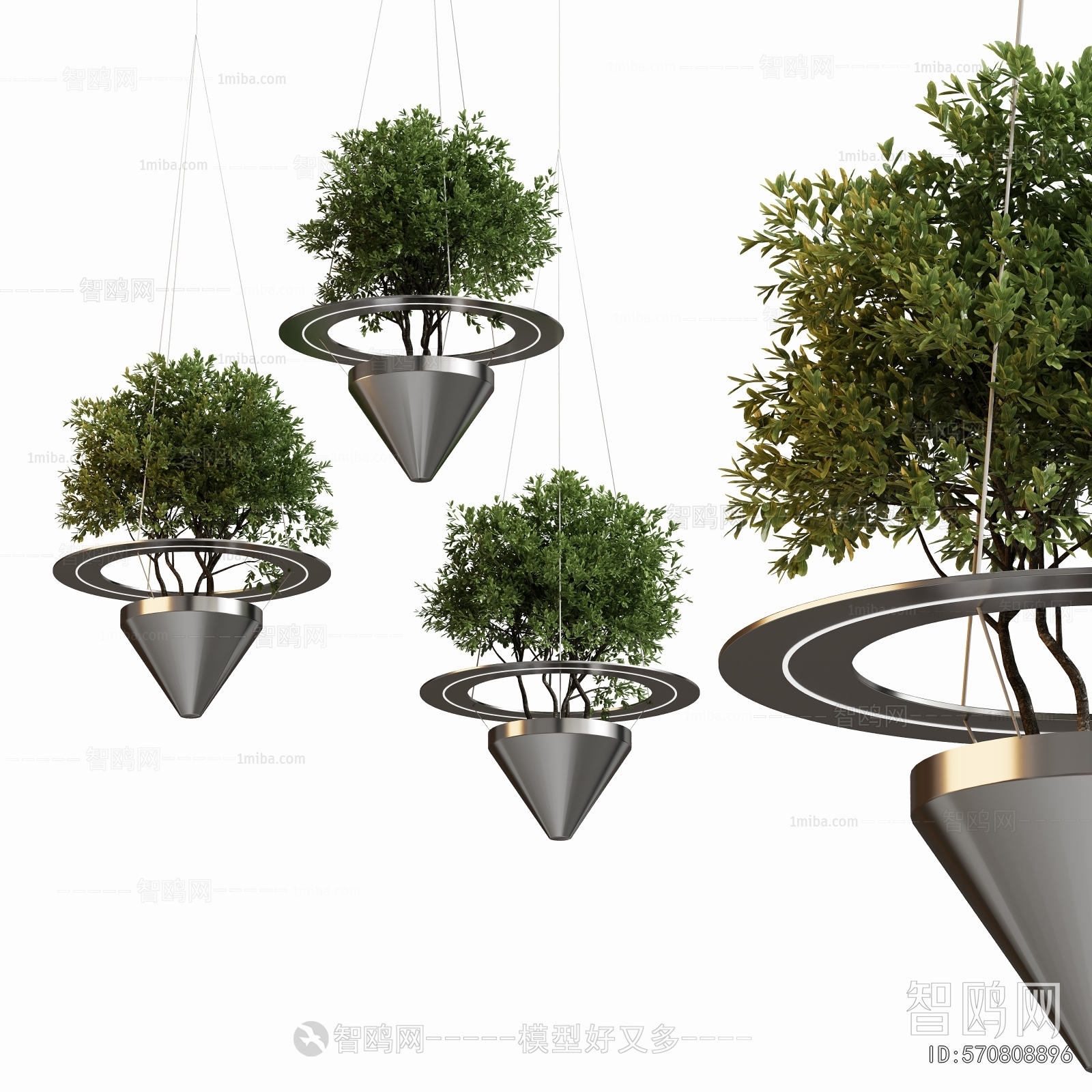 Modern Chlorophytum Comosum