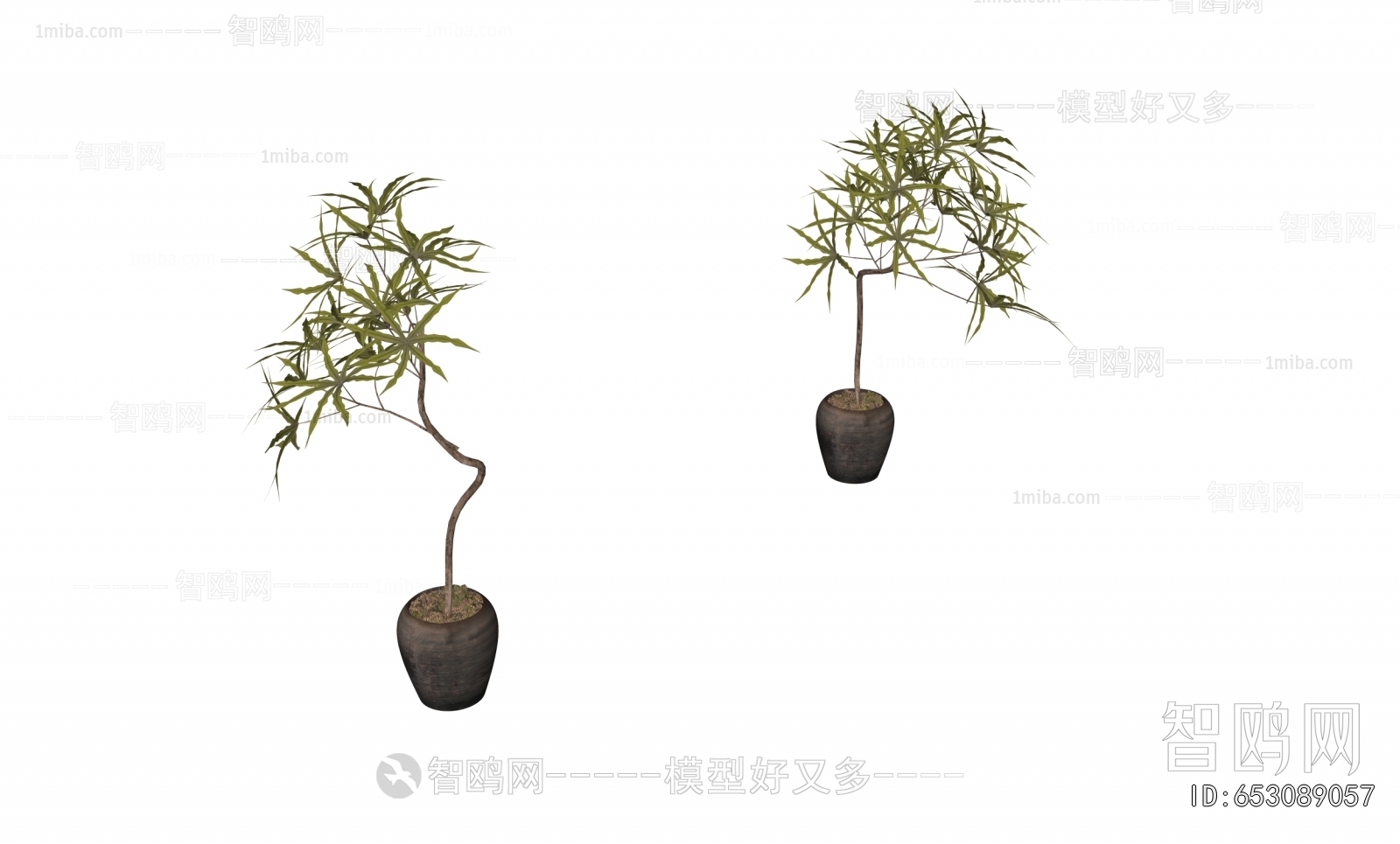 Modern Ground Green Plant Potted Plants