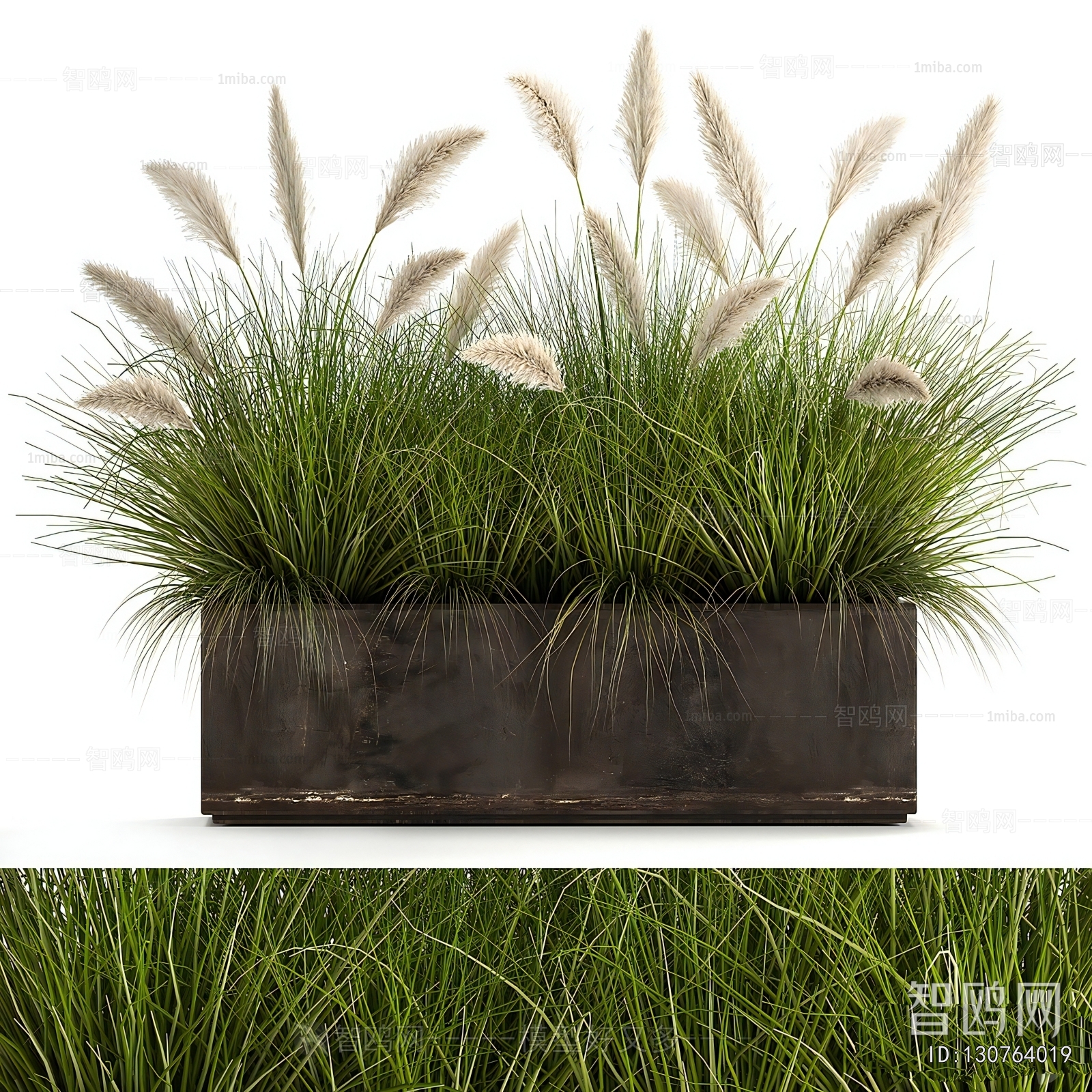 Modern Flower Bed, Flower Bowl, Flower Box