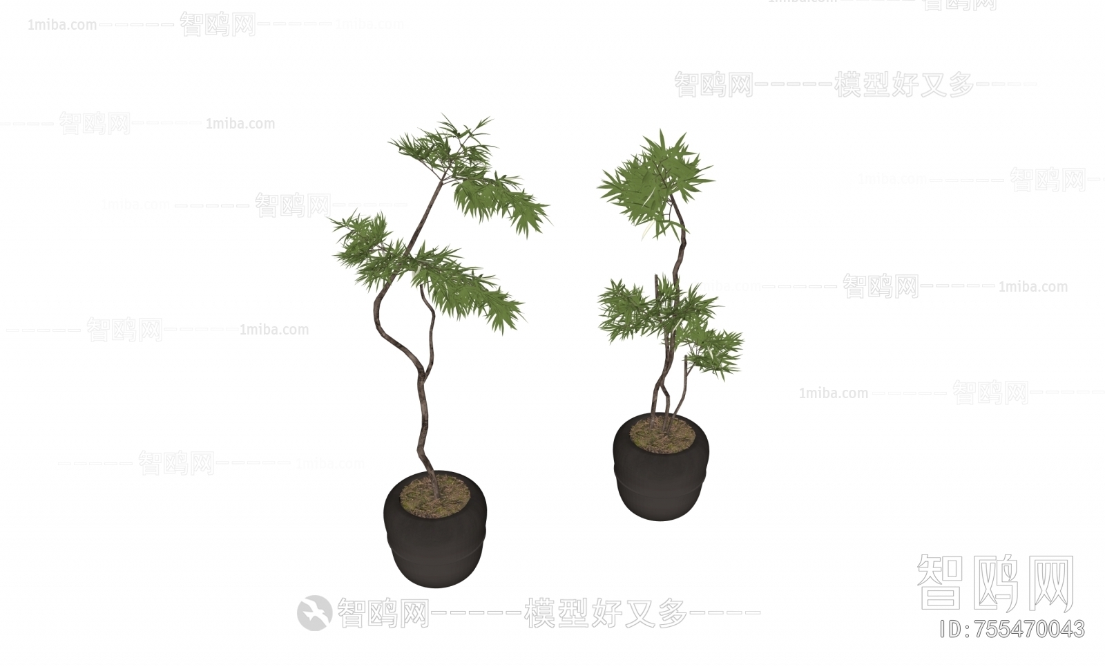 Modern Ground Green Plant Potted Plants