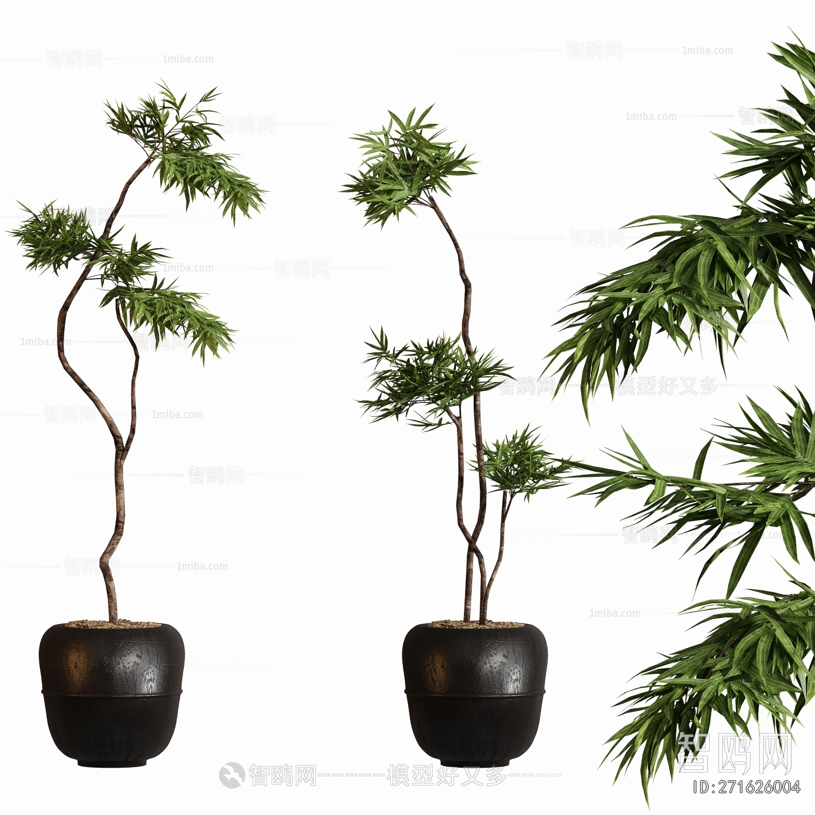 Modern Ground Green Plant Potted Plants