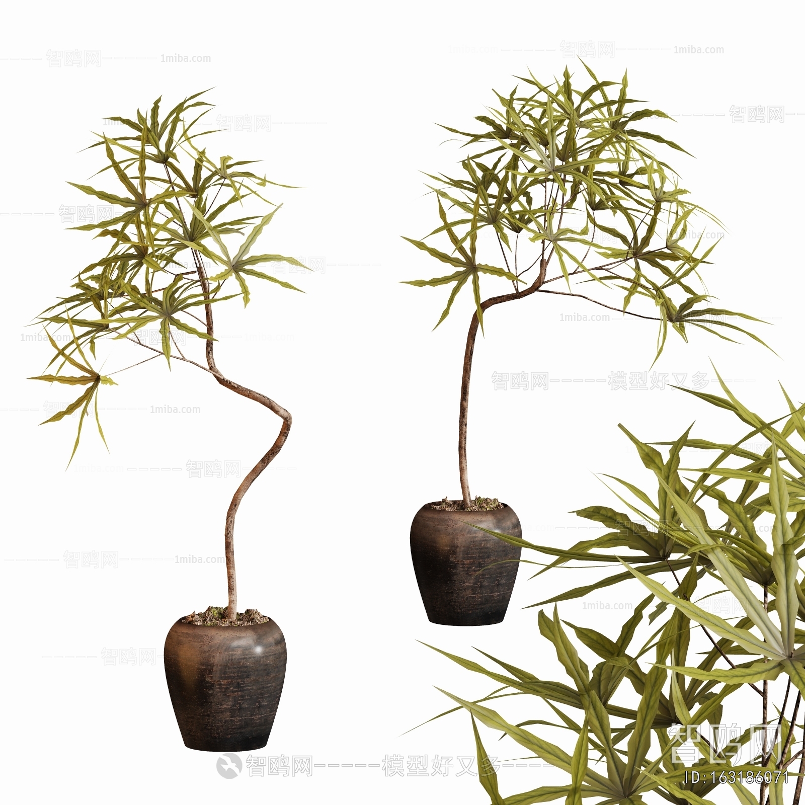 Modern Ground Green Plant Potted Plants