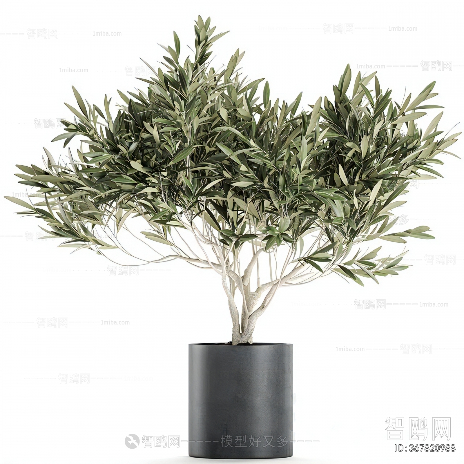 Modern Ground Green Plant Potted Plants
