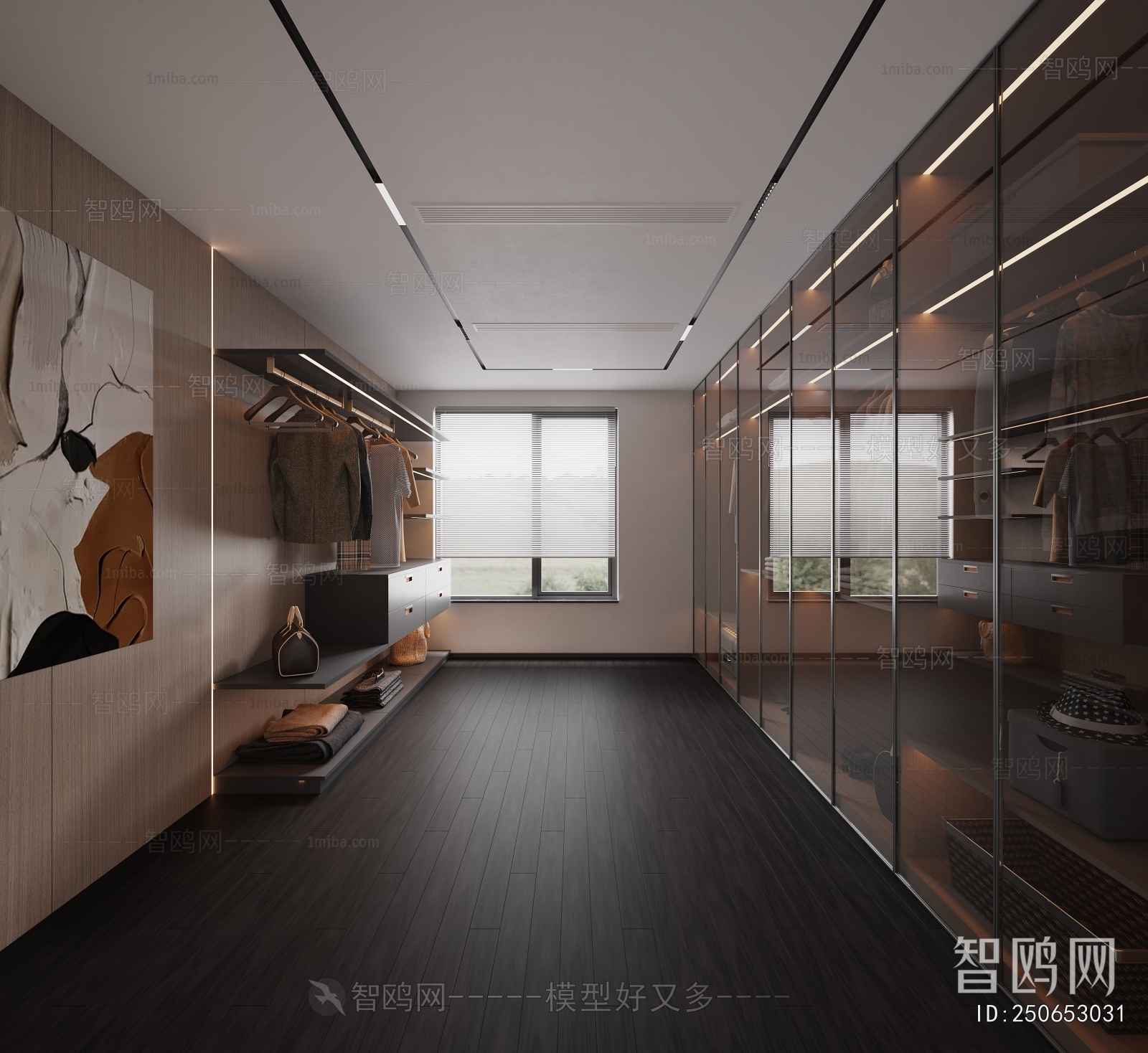 Modern Clothes Storage Area