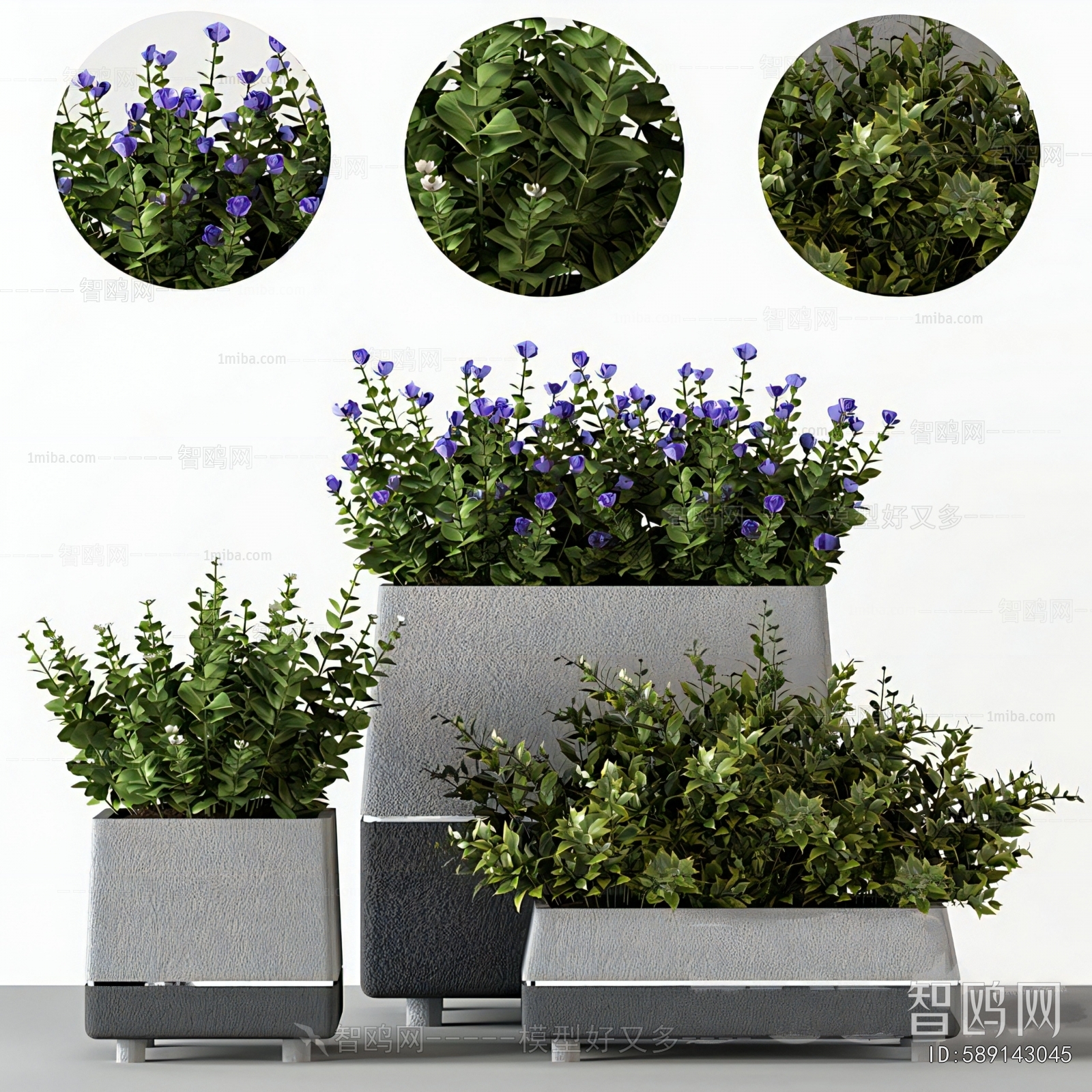 Modern Flower Bed, Flower Bowl, Flower Box