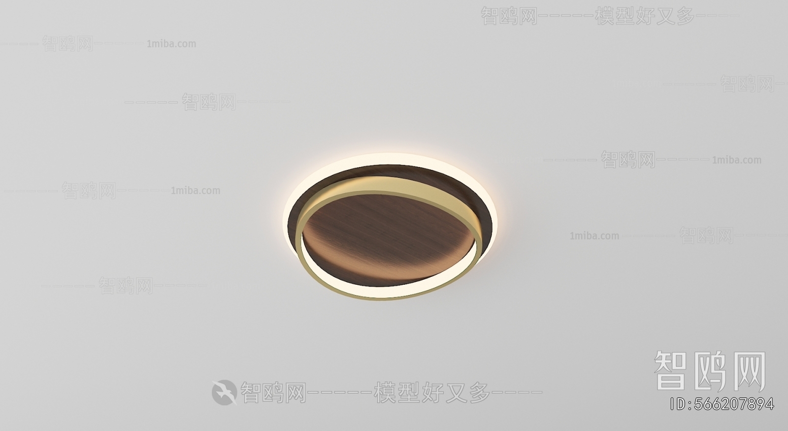 Modern Ceiling Ceiling Lamp
