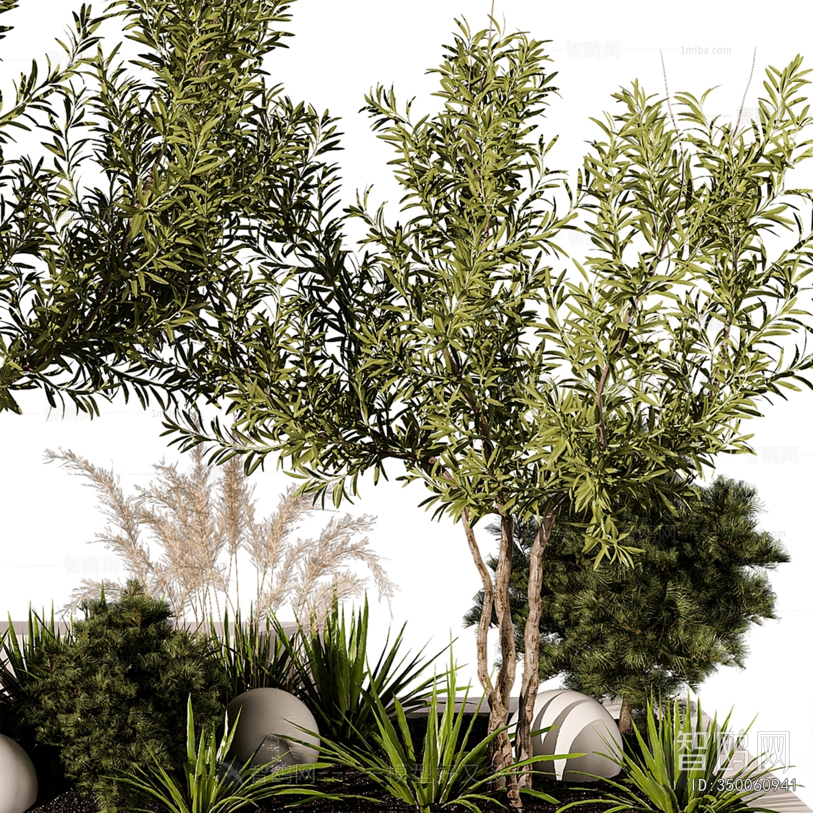 Modern Plant Landscaping