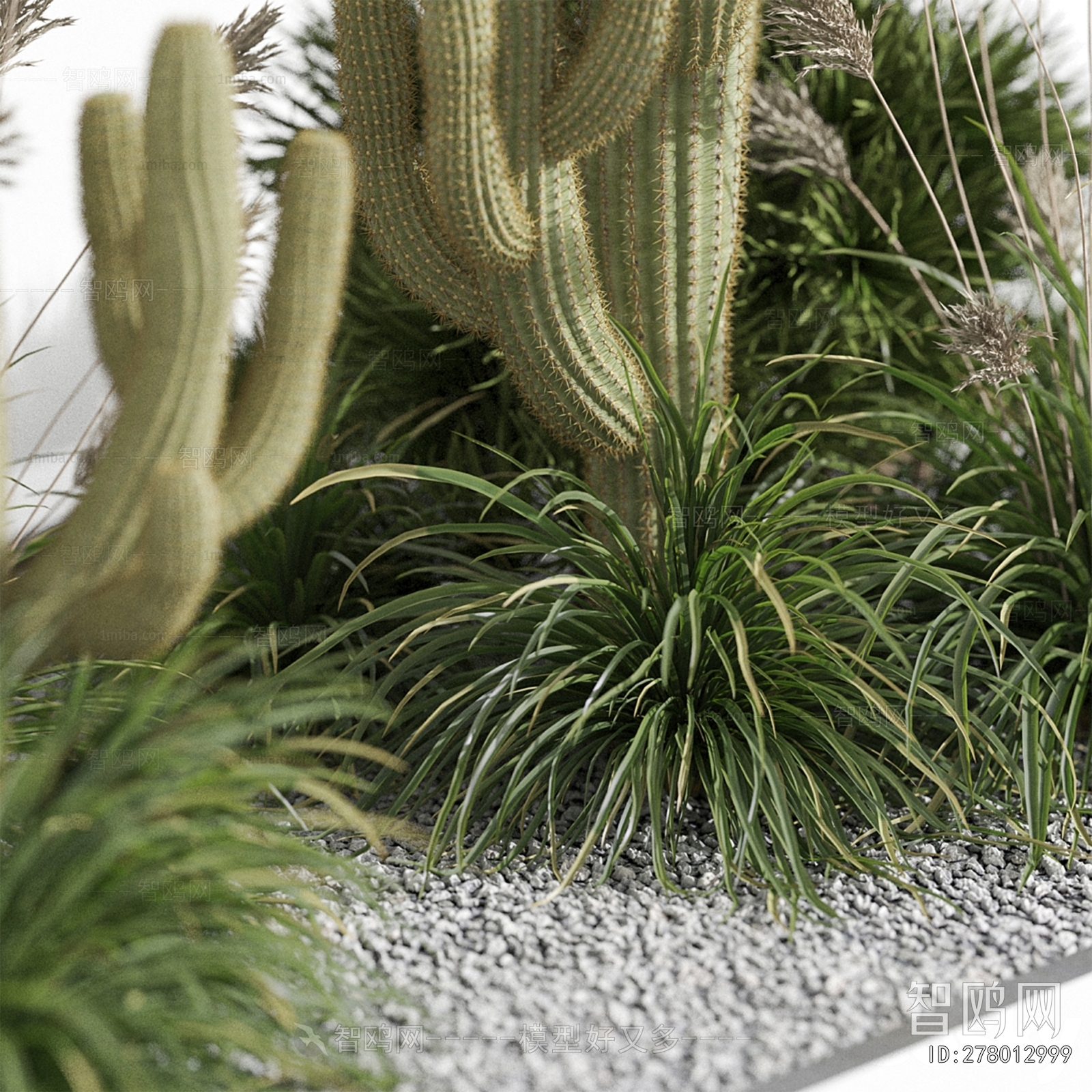 Modern Plant Landscaping