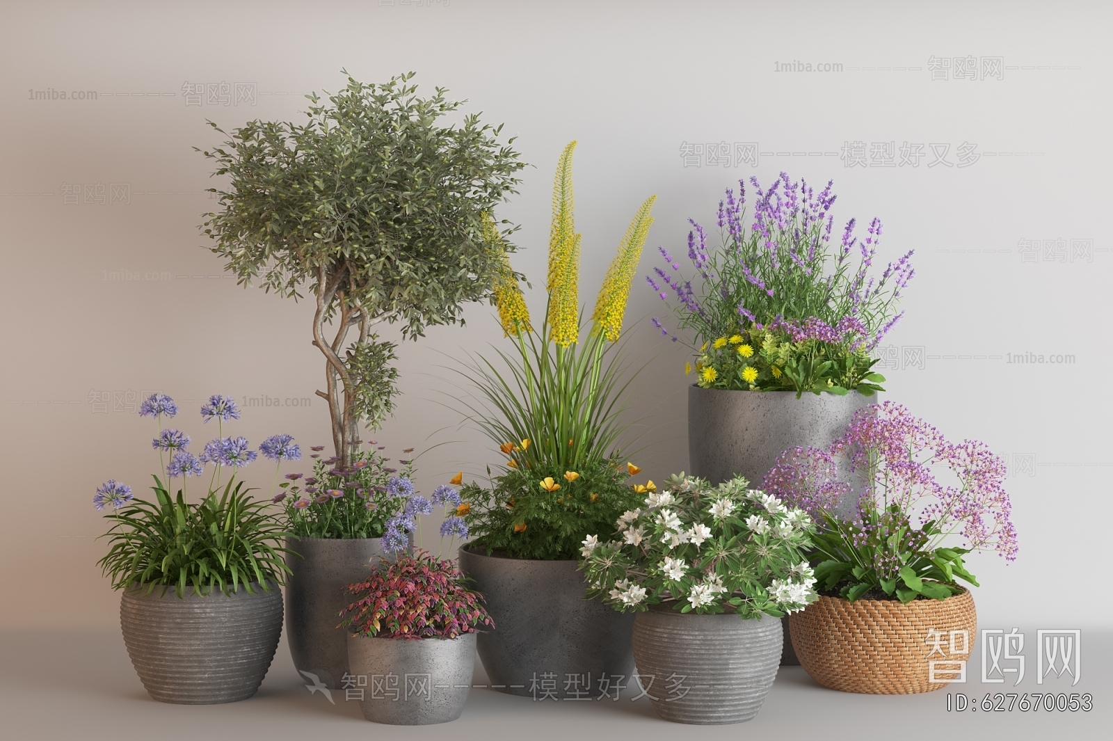 Modern Potted Green Plant