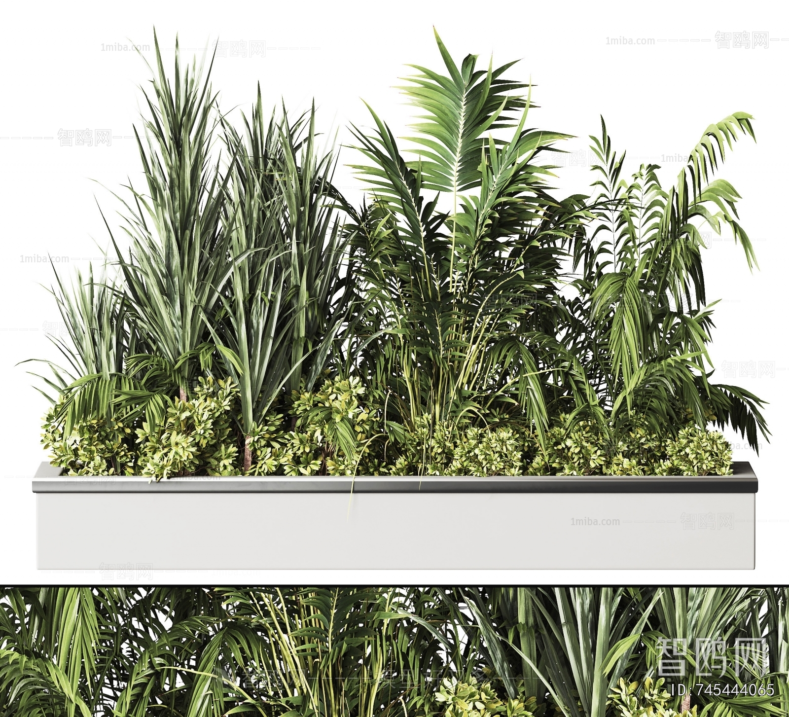 Modern Flower Bed, Flower Bowl, Flower Box