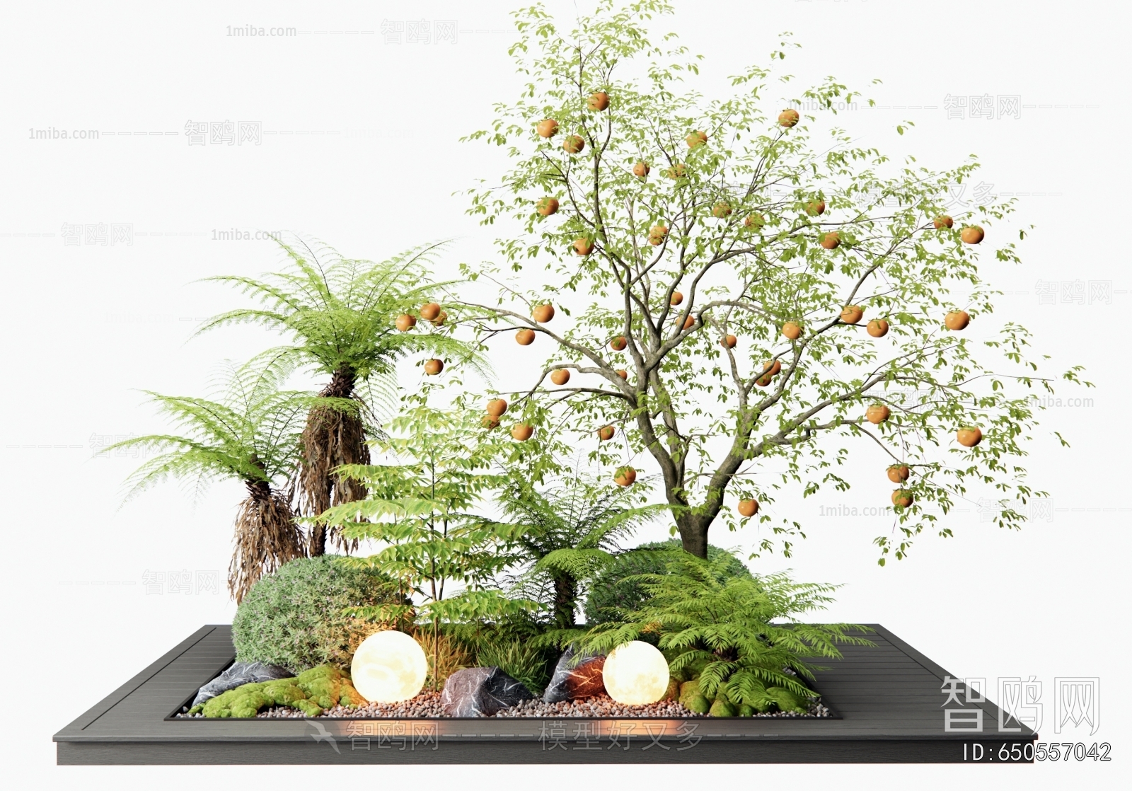 Modern Plant Landscaping