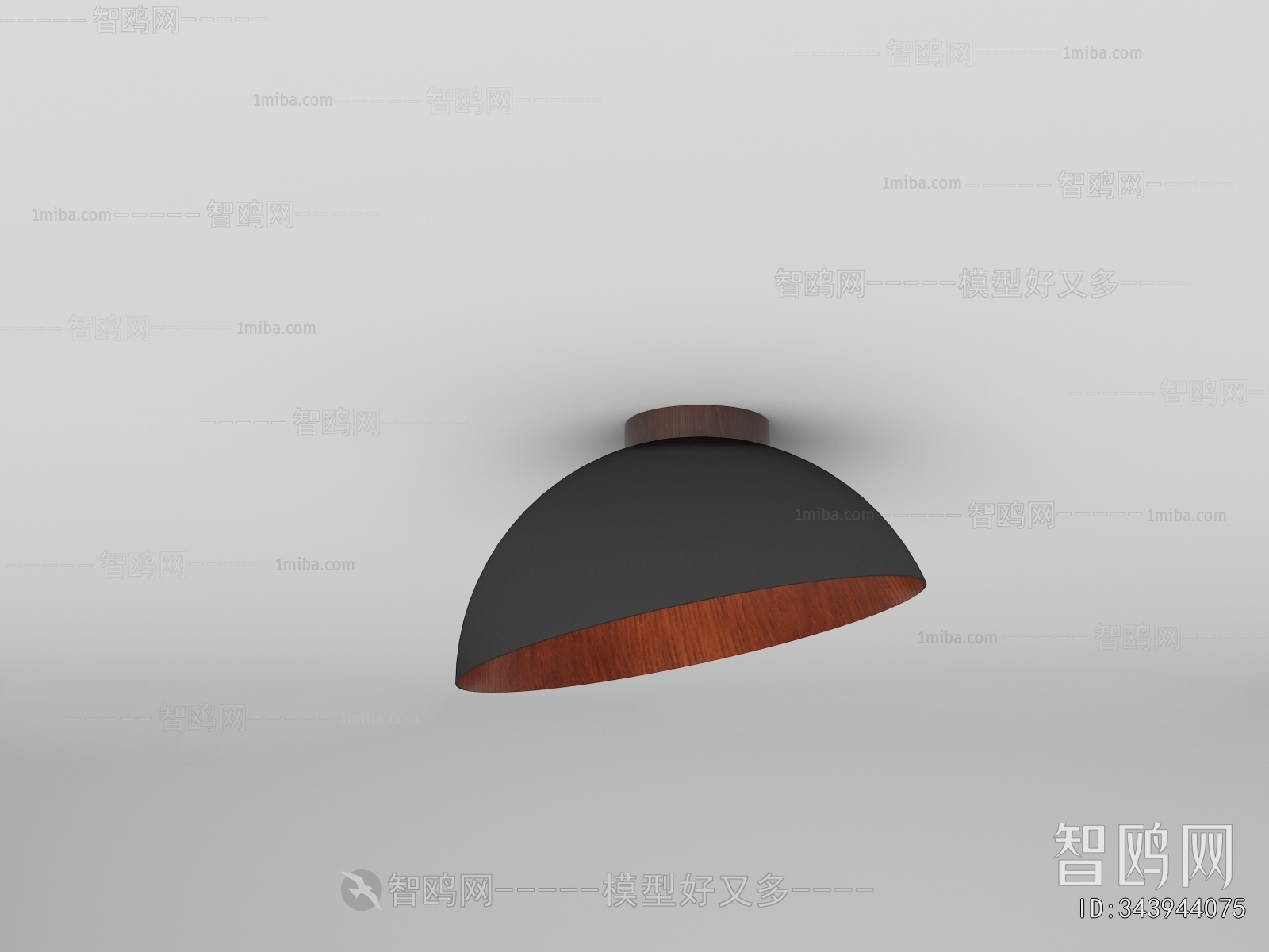 Modern Ceiling Ceiling Lamp