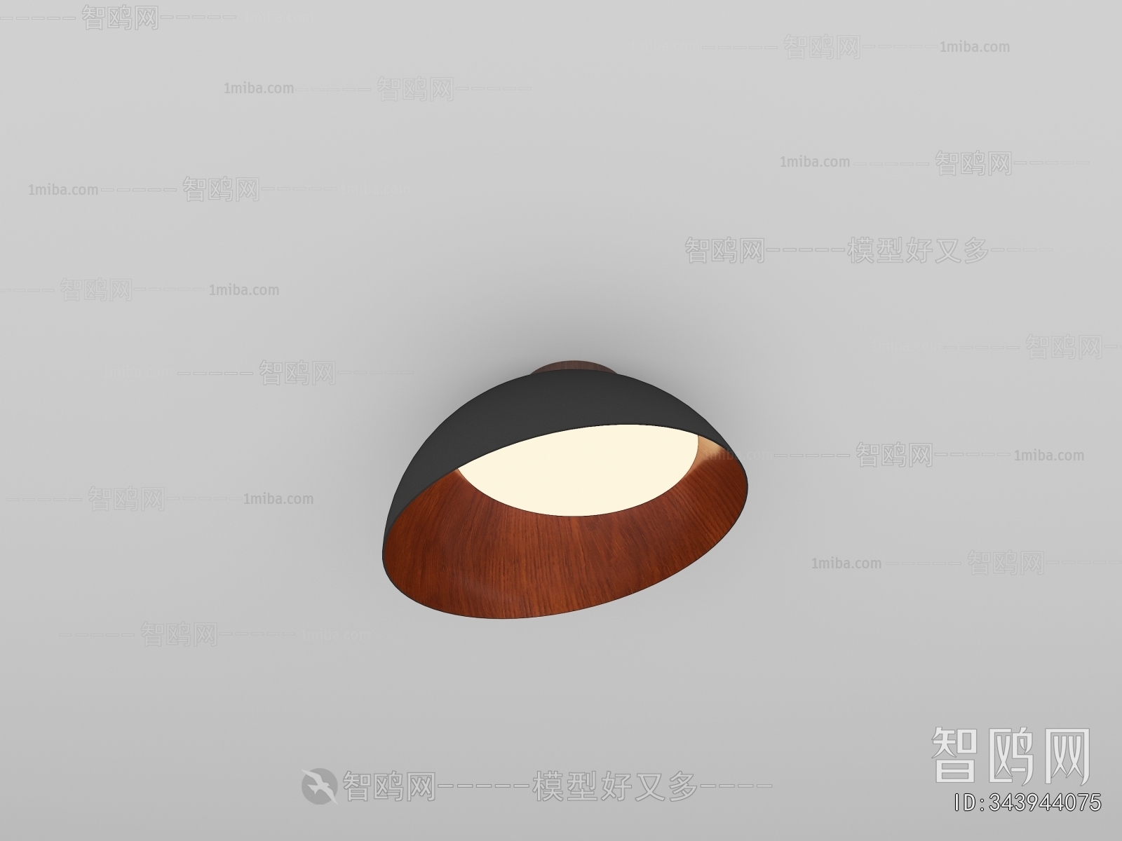 Modern Ceiling Ceiling Lamp