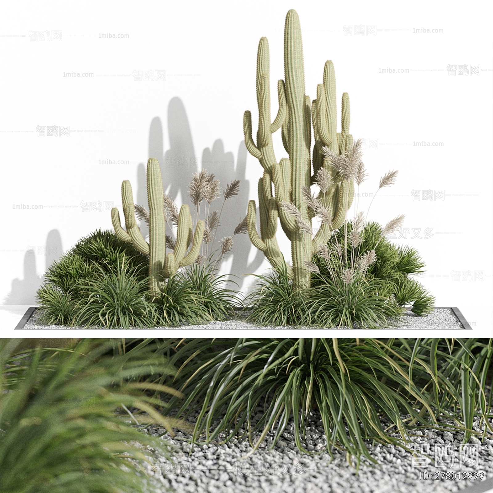 Modern Plant Landscaping