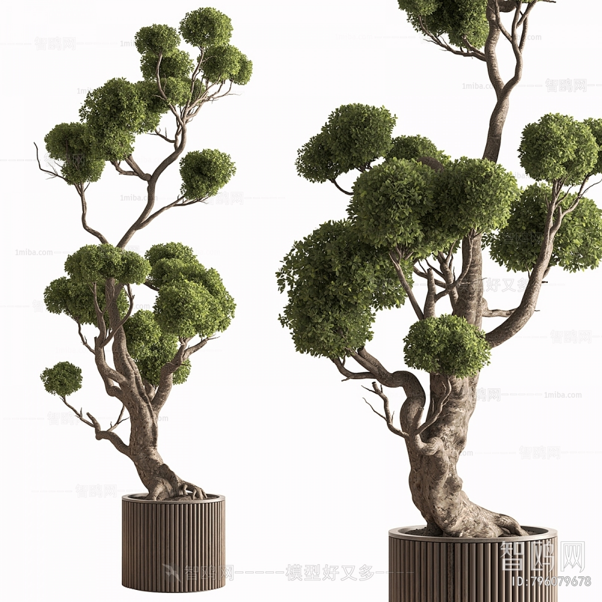 Modern Ground Green Plant Potted Plants