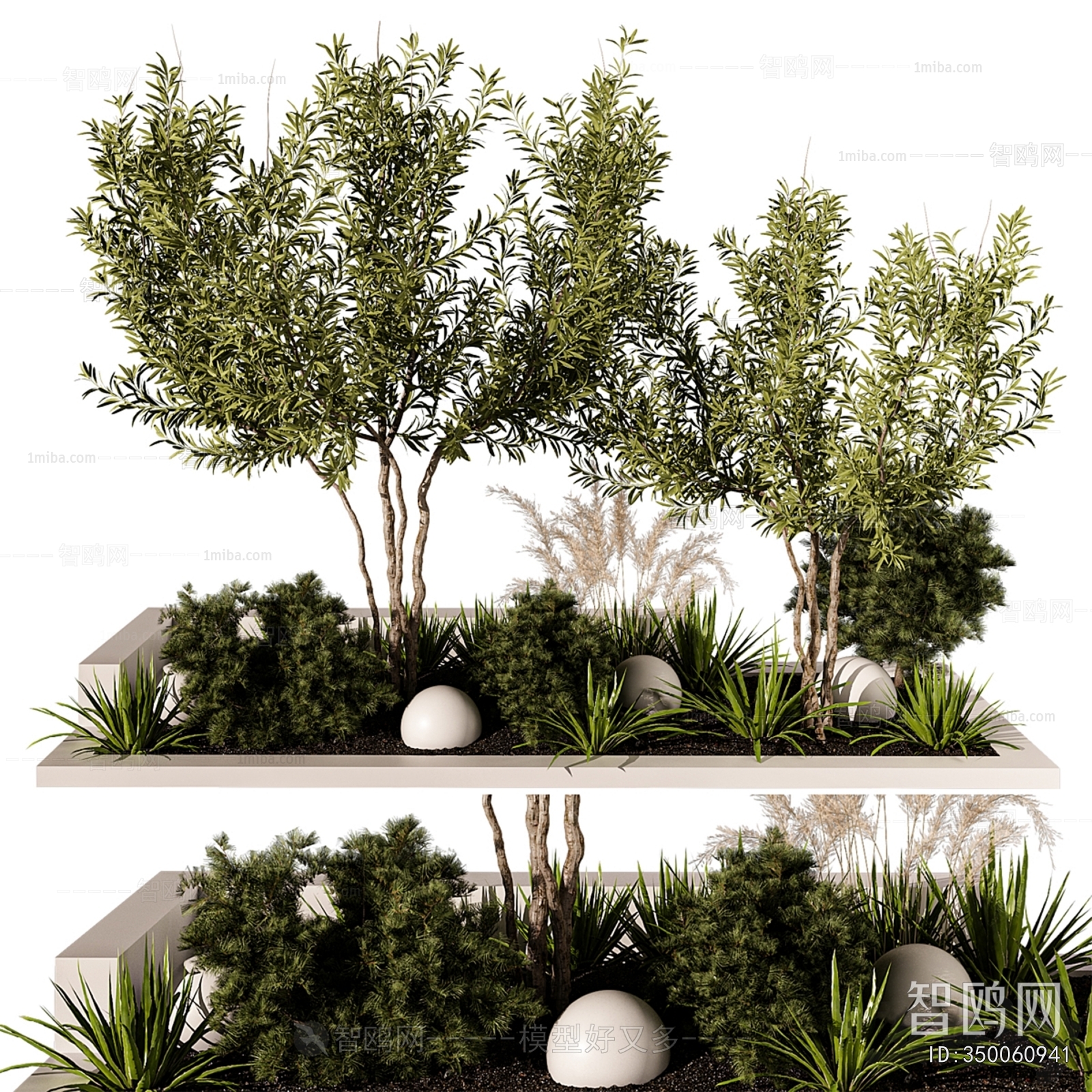 Modern Plant Landscaping