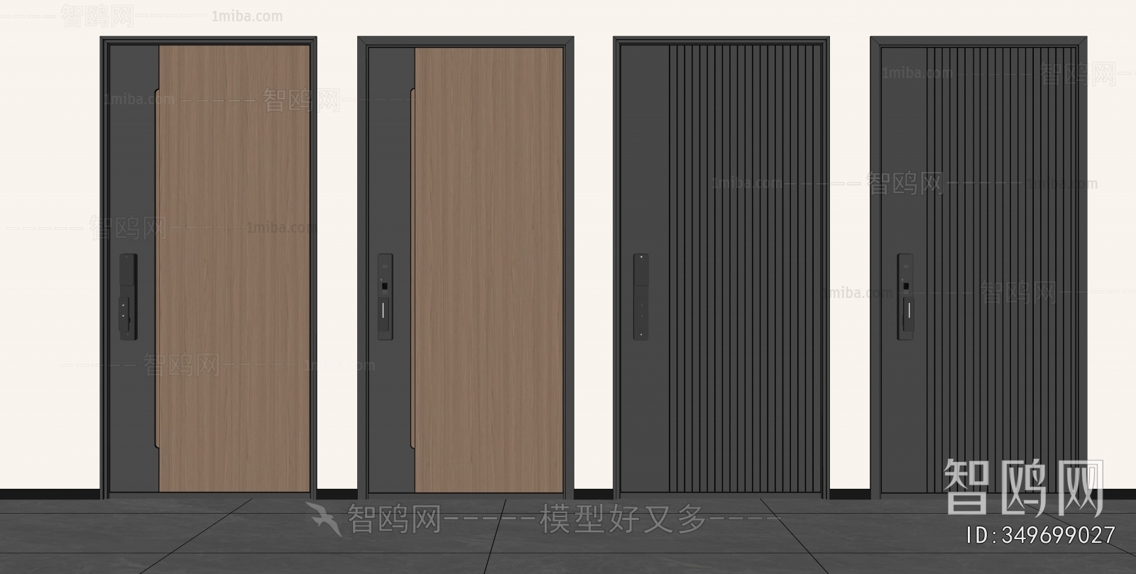 Modern Entrance Door