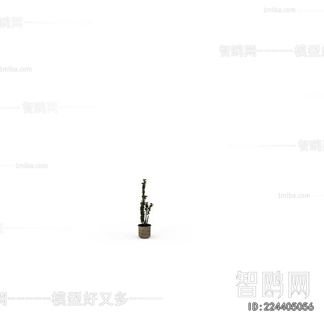 Modern Potted Green Plant