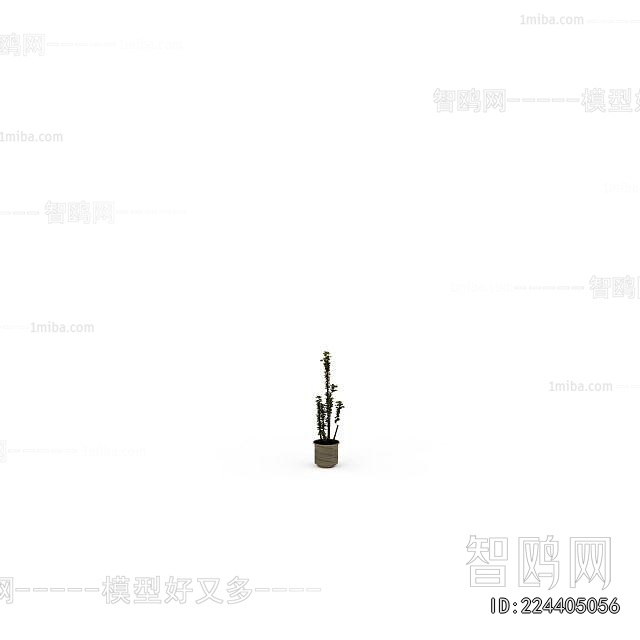 Modern Potted Green Plant