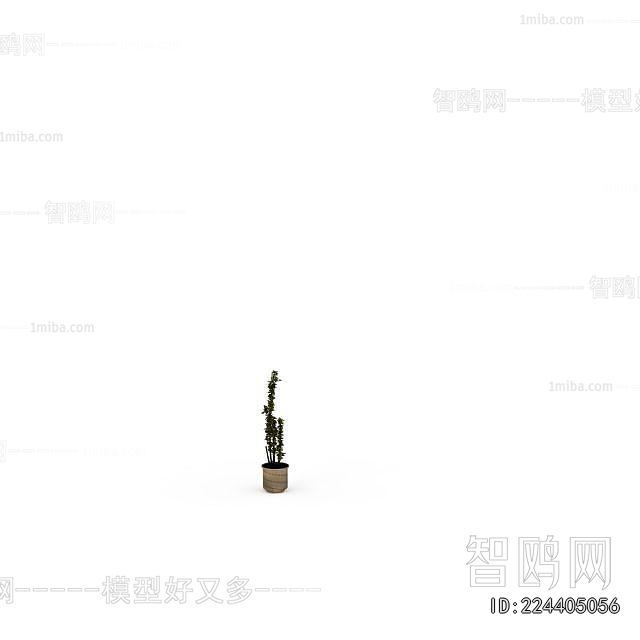 Modern Potted Green Plant