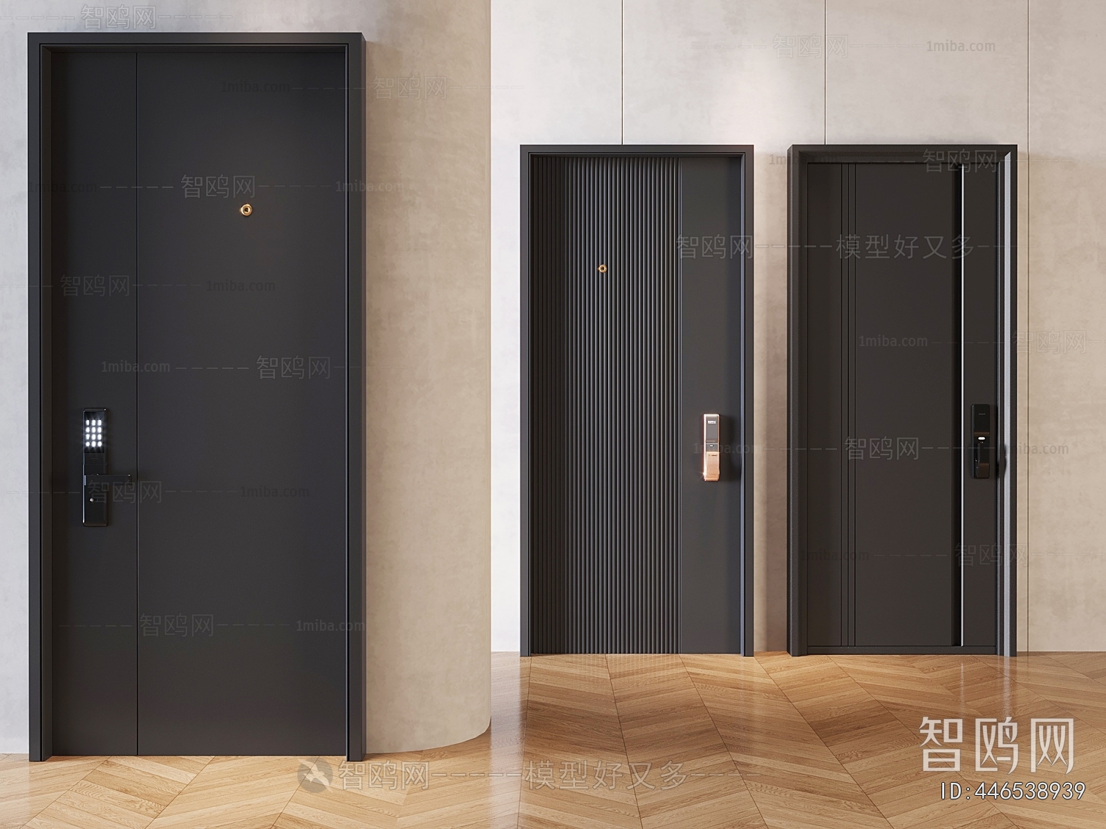 Modern Entrance Door